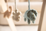 Babygym speeltjes Jollein - roarsome